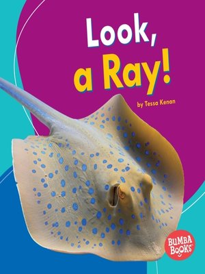 cover image of Look, a Ray!